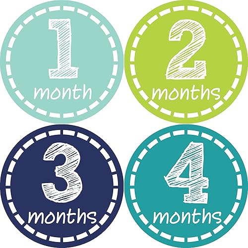 Baby Monthly Milestone Stickers - Newborn Boy Stickers (Style 113)