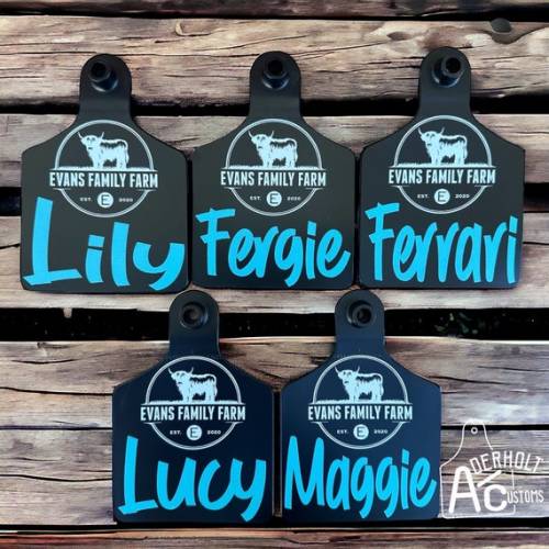 Custom Cattle Ear Tag UV Printed Full Color Weatherproof Personalized Livestock ID Show Tags Not Made With Vinyl or Stickers Eartags - Etsy