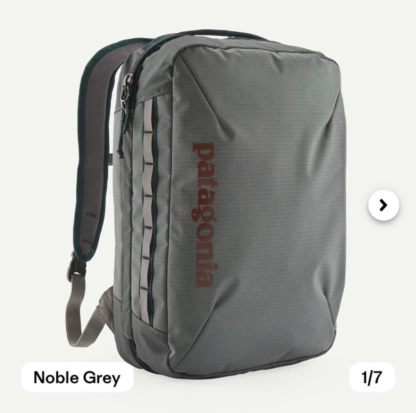 Patagonia Black Hole® Micro MLC® Carry-On Backpack 22L