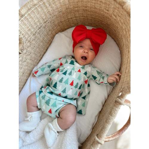 Organic Waffle Simple Dress & Bloomer, Festive Firs