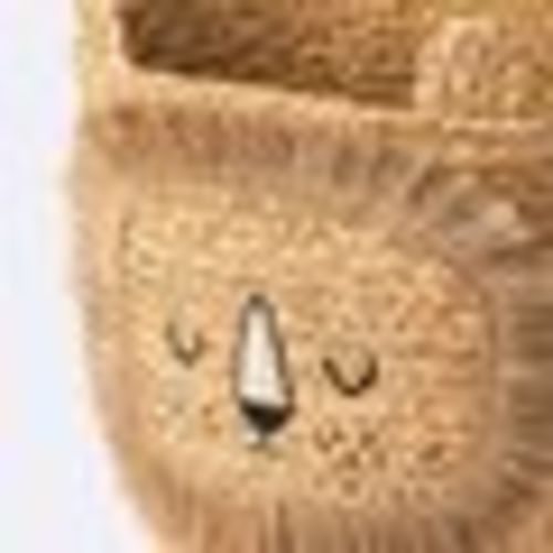 Braided Water Hyacinth Medium Round Storage Basket - Lion - Cloud Island™