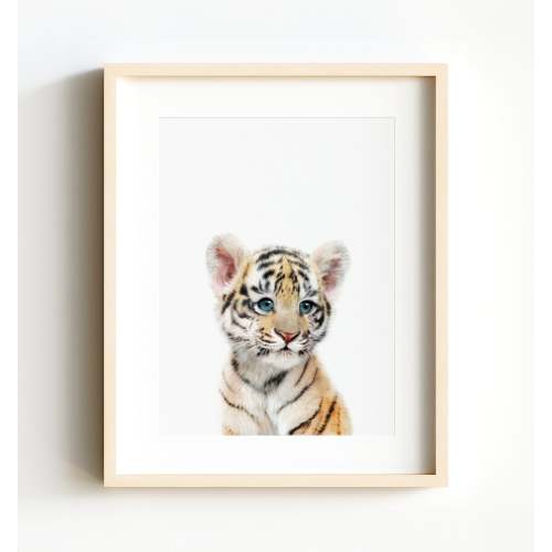 Baby Tiger No. 2 8x10