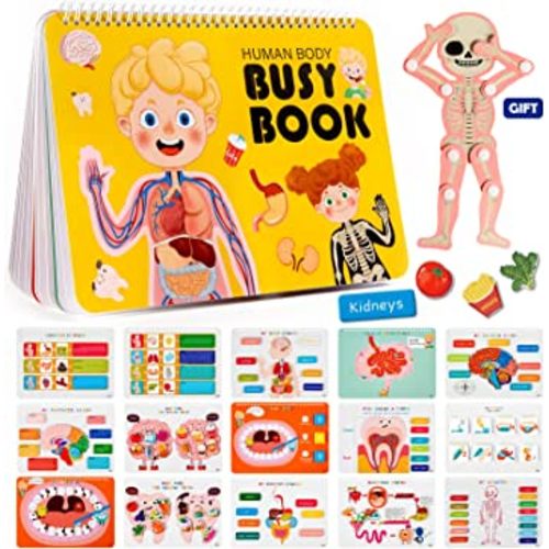 Freebear Montessori Busy Book for Kids, Human Body Anatomy Book for Toddlers, Preshool Kindergarten Learning Activities, Autism Sensory Toys, Travel Toys, Gifts for Girls and Boys 4 5 6 7 8 Years