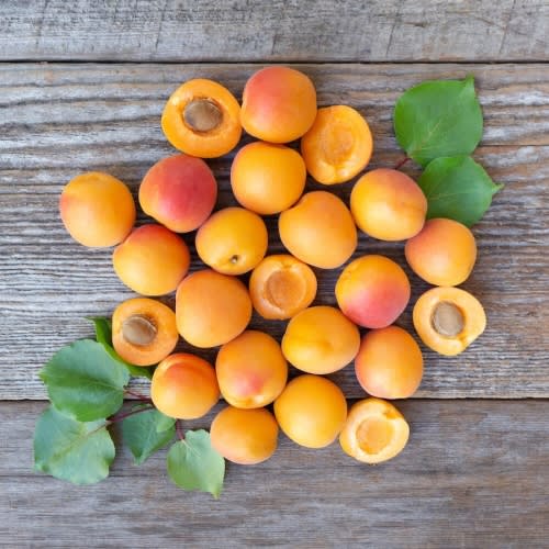 Organic Goshen Gold Apricots | Pre-Order | Ships Spring 2025