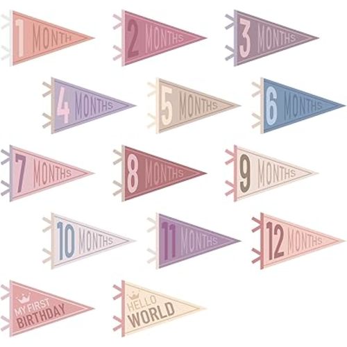 14 Pcs Baby Felt Pennant Milestone Signs Monthly Milestone Banner Flags Pennant Triangle Banner Age Milestone Flag Signs for Boy Girl Newborn Birthday Party Decor (Pastel Color)