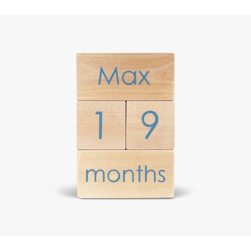 Modern Blocks Milestone Block Set