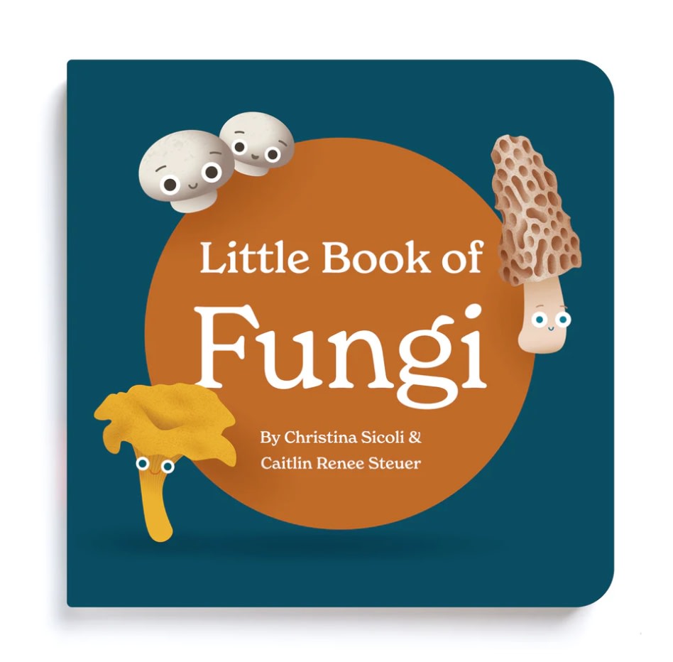 Little Book of Fungi | Classic Board Book About Mushrooms – Chunky Deli