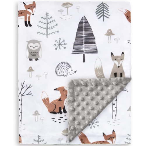 Baby Blanket for Boys Girls Soft Plush Minky Blanket with Double Layer Dotted Backing for Toddler with Forest Foxes Multicolor Printed 30 x 40 Inch(75x100cm)