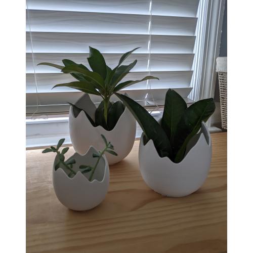 Dinosaur Egg-Inspired Planter-Unearth the Jurassic in Your Garden/ modern planter/Easter / succulents/indoor house plants/ Baby Shower