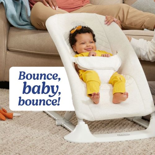 Graco Jumpstart 4-in-1 Activity Bouncer - Wren