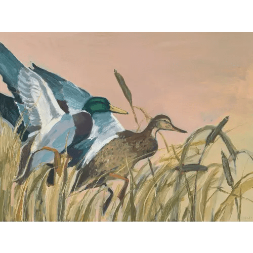 Lucky Ducks Print — Shelby Monteverde | Memphis, TN