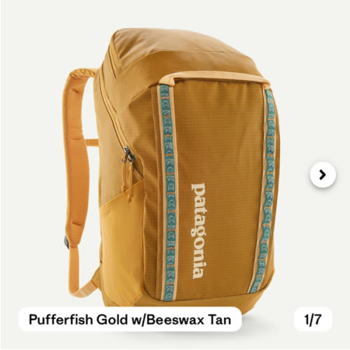 Patagonia Black Hole® Pack 32L - ‘Diaper Bag’ - pufferfish gold