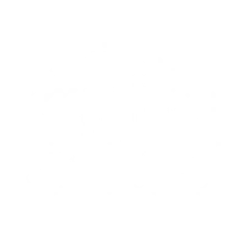 The ABCs of HBCUs – Red Rice Books