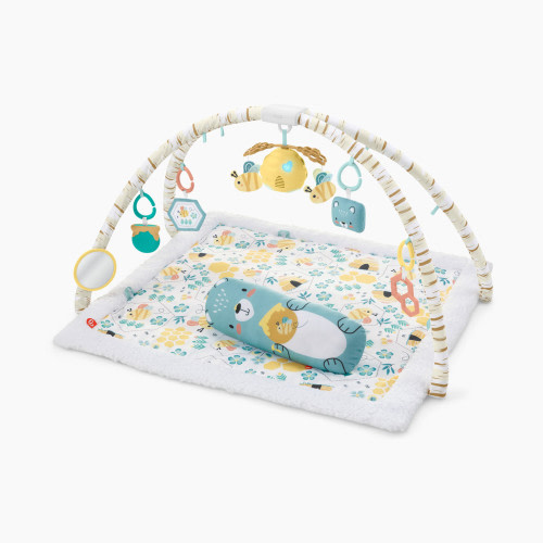 Fisher-Price Honey Bee Music & Lights Activity Gym - Multi