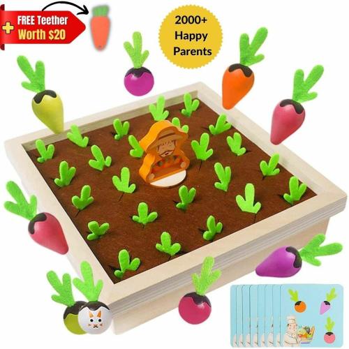 The Explorer Play Kit + FREE Carrot Teether – Bright Rise