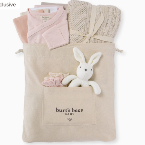 Take Me Home Baby Girl Gift Set – Burt's Bees Baby