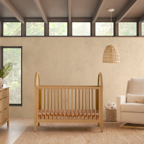 babyletto Bondi Cane 3-in-1 Convertible Crib with Toddler Bed Conversion Kit & Reviews - Wayfair Canada