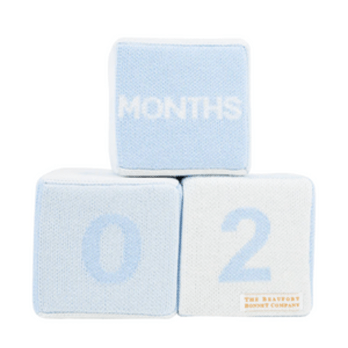 Blaylock Blocks – Storybook Looks