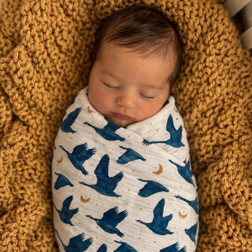 Gus Goose Swaddle Blanket