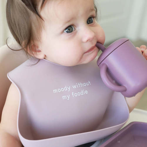 Silicone Baby Bib | Moody Without My Foodie