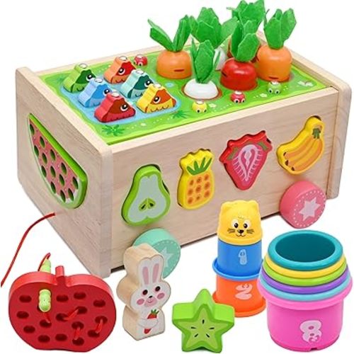 10-in-1 Toddlers Montessori Wooden Educational Toys for Baby Boys Girls Age 18 Months and Up,Shapes Sorting &Matching, Preschool Learning Fine Motor Skills Game