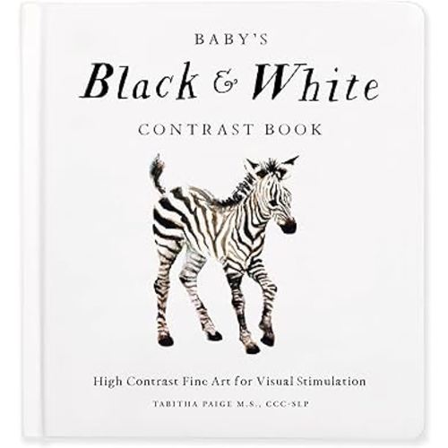 Baby's Black and White Contrast Book: High-Contrast Art for Visual Stimulation at Tummy Time (Our Little Adventures Series)