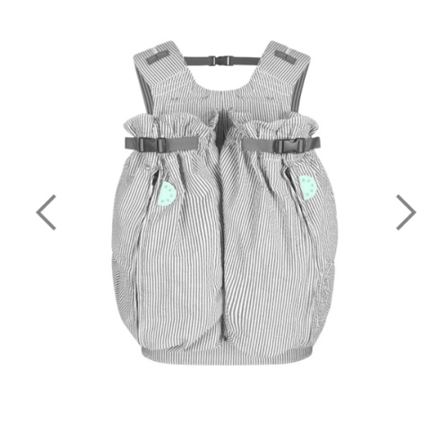 The Weego TWIN Baby Carrier