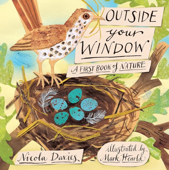 Outside Your Window: A First Book of Nature