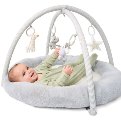 Plush Play Mat and Gym