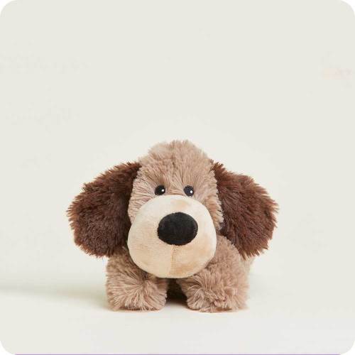 Brown Dog Warmies Junior