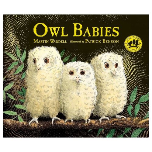 Owl Babies - by Martin Waddell (Hardcover)