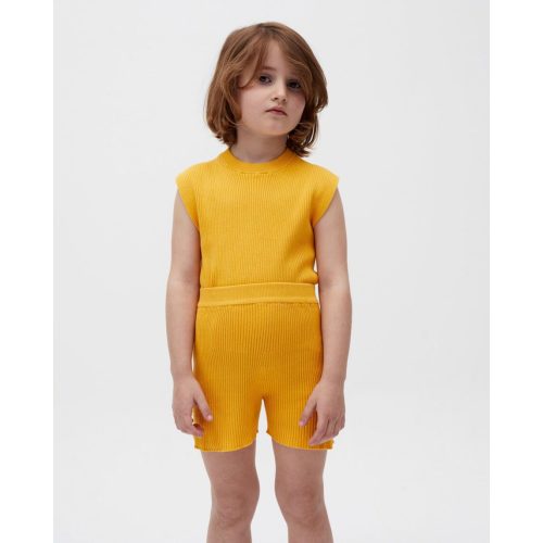 top kids no39 alphonso mango – babaà