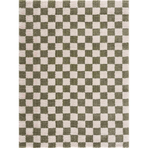 Aversa Machine Washable Checkered Shag Area Rug