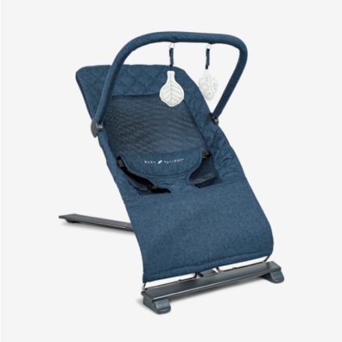 Baby Delight Alpine Deluxe Portable Bouncer, Infant, 0 – 6 Months