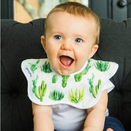 Tiny Twinkle Roundabout Bib - Cacti Set of 2