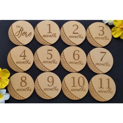 Birth Milestone Plaques