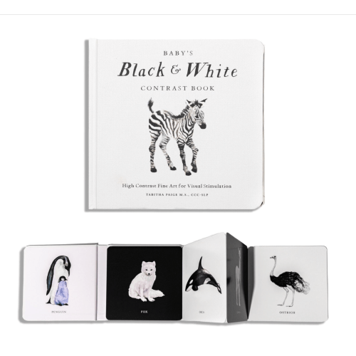 Baby's Black and White Contrast Book: High-Contrast Art for Visual Stimulation at Tummy Time (Our Little Adventures Series)