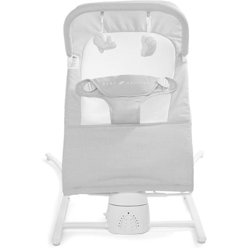 Baby Delight Alpine Wave Deluxe Infant Swing | Automated Motion Baby Lounger Seat | Infants 0 – 6 Months | Driftwood Grey