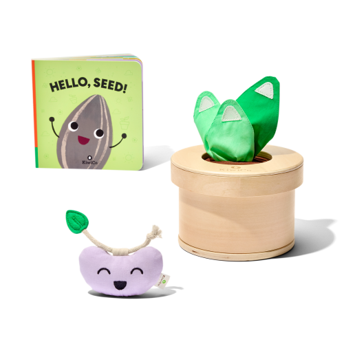 Growing Seeds Tissue Box Toy