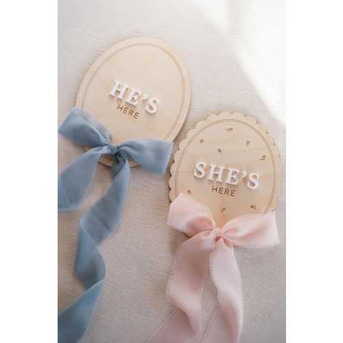 Surprise Gender Reveal Sign for Hospital: He's Here and She's Here Birth Announcement Plaque