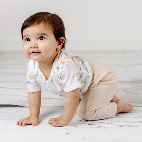 Burt's Bees Baby 4-Piece Playwear Set - Sam's Club