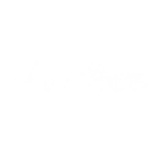 BEACH PUDDLE – Beach Puddle, Inc