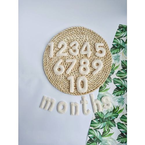 Felt Milestone Numbers, Baby monthly milestone, Countdown Numbers, Baby Month Tracker, Pregnancy gift