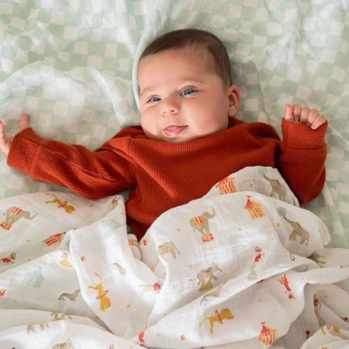 aden + anais essentials 4-pk Cotton Muslin Swaddles