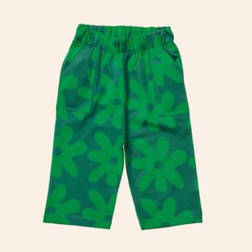 Baby Bolinas Pants – Young Days