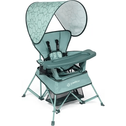 Baby Delight Go with Me Venture Portable Chair | Indoor and Outdoor | Sun Canopy | 3 Child Growth Stages | Garden Green