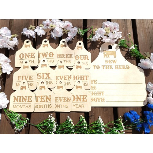 Cow Tag Western Monthly Milestone, New To The Herd Baby Birth Announcement Sign, 15 Design Options, Western Baby Cow Tag, Birth Stats