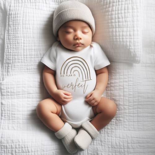 His Plan Is Perfect, Rainbow Baby Bodysuit, Scandinavian Rainbow, Gift, Baby Shower Gift, New Baby, Baby Apparel, Hipster, Gender Neutral