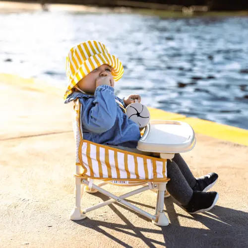 Brighton portable booster chair V2