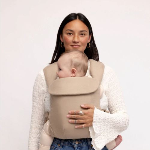 Desert Lark - Aerial Carrier – WildBird